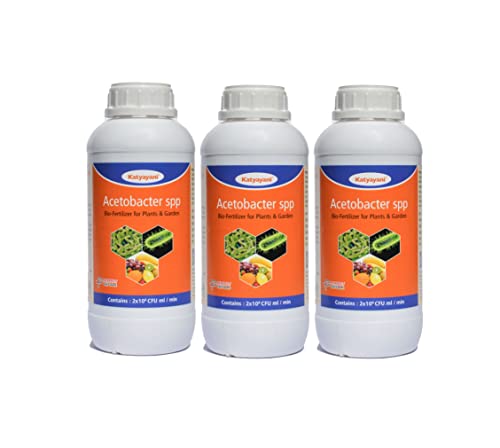 Katyayani Acetobacter Bio Fertilizer 3L for Plants and Home Garden Nitrogen Provider for Sugarcane Sweet Sorghum Sweet Corn Eco-Friendly Liquid Nitrogen-Fixing Bacteria Recommended by NPOP for Organic Farming | 5 X 10^8 Cfu Ml/min | 1000ml x 3