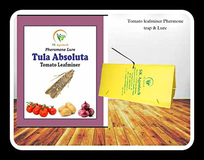 tuta absoluta tomato leafminer pheromone lure