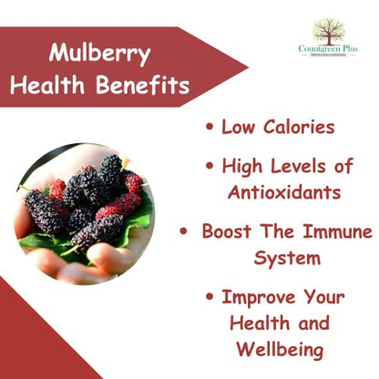 Countgreen Plus Organic Mulberry (Sehtut) Non-GMO Plating 100 Fruit Seeds for Home, Garden, Terrace, Balcony - All Season Growing Seeds