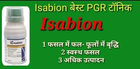 इसाबियन प्लांट टॉनिक 