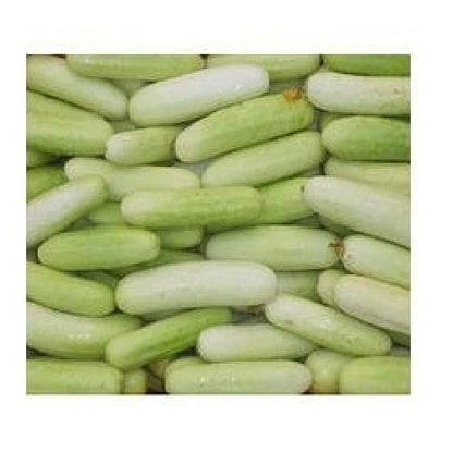 Golden Hills Farm hybrid seeds F1 Cucumber White Long 50+ seeds