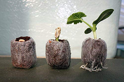 WE Hydroponics Coco Pellets 50mm -Set of 35, Jiffy Made, Soilless Germination Medium, Coco disc