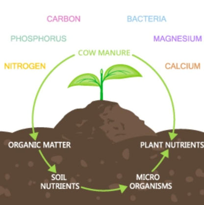 Plant Cow Dung fertilizers for Plants, Cow Dung Manure for Plants, Cow Manure for Plants, Cow Manure for Home Gardening, Cow Dung Compost for Plants (50 kg)