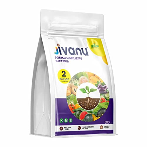Jivanu (Potassium Solubilizing and Mobilizing Bacteria – KSB/KMB) Bio-Fertilizers (500 Gram)
