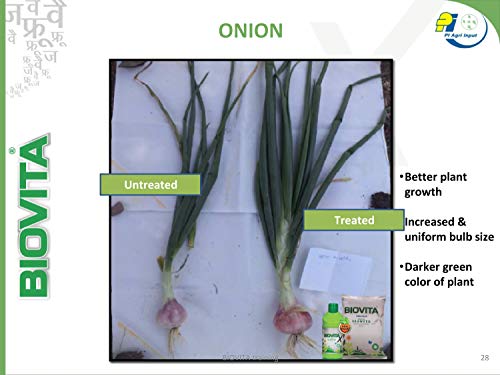 what is benefit of seaweed extract on onion