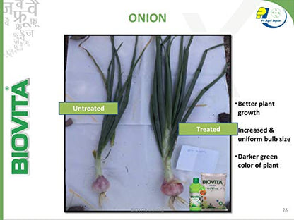 what is benefit of seaweed extract on onion