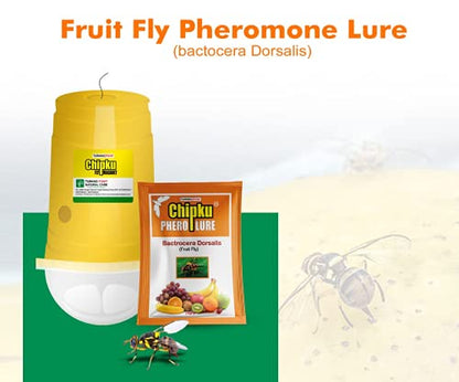 Chipku Fly Magnet Trap Useful in Mango, Papaya, Sapota, Guava, Pomegranate, Sweet Fruit (3 Trap with 3 Fruit Fly Lure) - Pack of 3