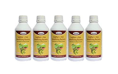 katyayani Sulphur + Iron Solubilising Biofertilizer for all Plants and Home Garden Fixing Bacteria Increase Fruits Flowering & root growth Eco-Friendly Liquid for Organic Farming - 5 litre Pack