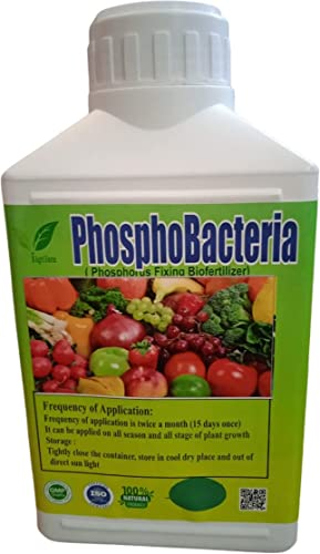 Phospobacteria