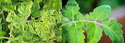 Virus-G Virucide Botanical Extract