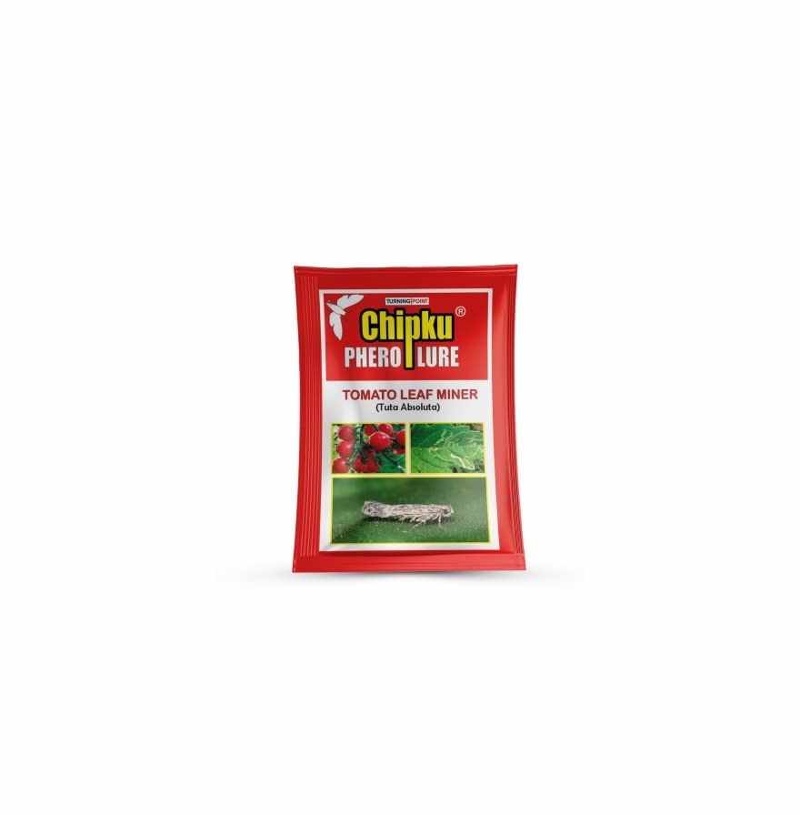 tomato insect pest pheromone lure