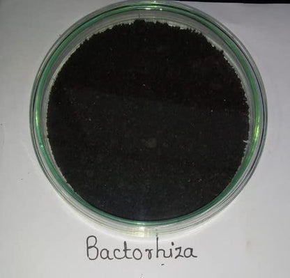 Dr. Bacto's Bactorhiza (Plant Growth Promoter)