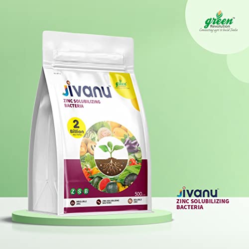 Jivanu Zinc Solubilizing Bacteria Bio Fertilizer - ZSB for All Plants and Home Garden Eco-Friendly (500 Gram)
