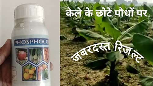Aries Phosphocop 500ML