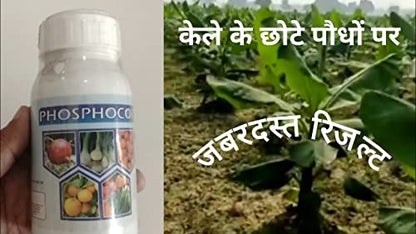 Aries Phosphocop 500ML