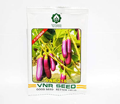 VNR बीज हाइब्रिड बैंगन VNR-218 सब्जी के बीज (10 ग्राम)