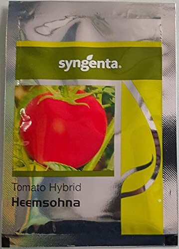 Syngenta Heemsohna Hybrid Tomato Seeds 3500SD