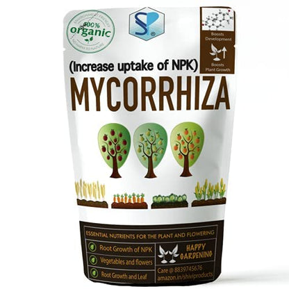 Arbuscular Mycorrhizae Fungi
