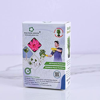 bamboo plant fertilizer Polygon Green Lucky Bamboo Plant Fertilizer (2 Layer,3 Layer,5 Layer,S – resetagri