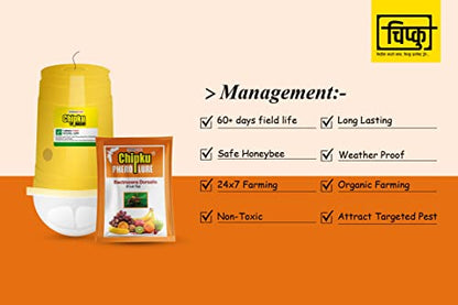 Chipku फ्रूट फ्लाई ग्लास ट्रैप फेरमोन ट्रैप बैक्टोसेरा डॉर्सलिस के लिए/ बागों और फलों की फसलों के लिए कीट जाल फेरोमोन ल्यूर के साथ 25 का कॉम्बो पैक