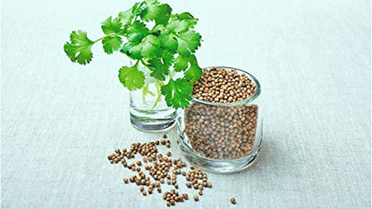 EYWA - Dhaniya Seeds For Home Gardening In This Winter, Coriander Seed whole For Farming And Sowing, Organic to Grow in Your Home & Kitchen Garden on This Season (1 Kg)