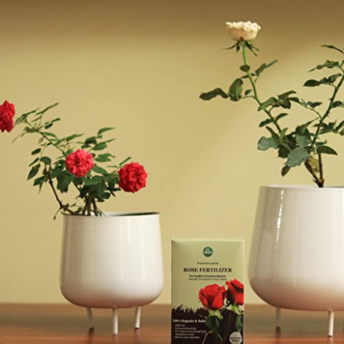 TrustBasket Rose Fertilizer (450gm - Set of 1) | Rose Plant Food For Flowering Plants | For All Rose Varieties | Flower Booster Rose Mix | Granulated Rose Food