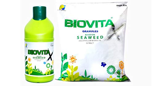seaweed extract as plant tonic