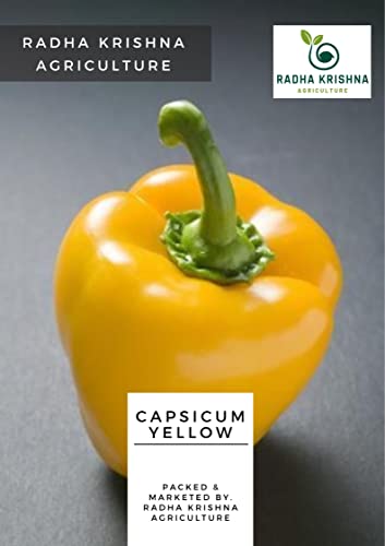 Radha Krishna Agriculture® Imported Capsicum Vegetable Seeds | Yellow Capsicum Seed For Your Home Garden Pack of 30 Gram Seeds