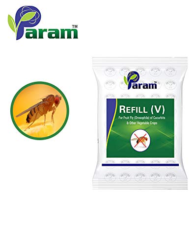Param (V) Lure Pack of 10 Pcs