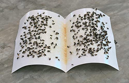 Spicado Traders Fly Trap for Home Glue Trap for House Fly , Sticky Fly Stick Paper Pack of 5