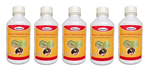 कात्यायनी फॉस्फरस विद्राव्य खत (5 x 10*8 CFU ml/min) सर्व झाडांसाठी आणि होम गार्डन फॉस्फरस पुरवठादार इको फ्रेंडली लिक्विड फिक्सिंग बॅक्टेरिया सेंद्रीय शेतीसाठी NPOP ने शिफारस केलेले - 5 X 1 लिटर पॅक