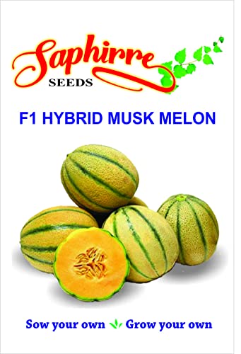 hara madhu muskmelon