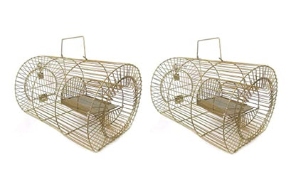 SAVI Heavy Duty Pesticide Professional Mouse Trap for Catching Many Mouses at Once. (Pack of 2)