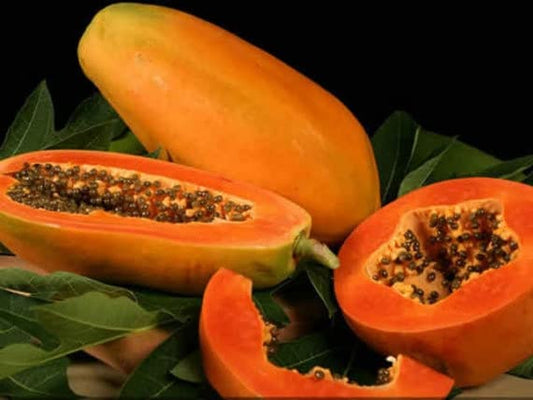 Red lady papaya seeds taiwan 786 best 100 seeds