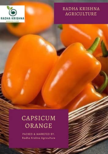 Radha Krishna Agriculture® Imported Capsicum Vegetable Seeds | Orange Capsicum Seed For Your Home Garden Pack of 50 Gram Seeds