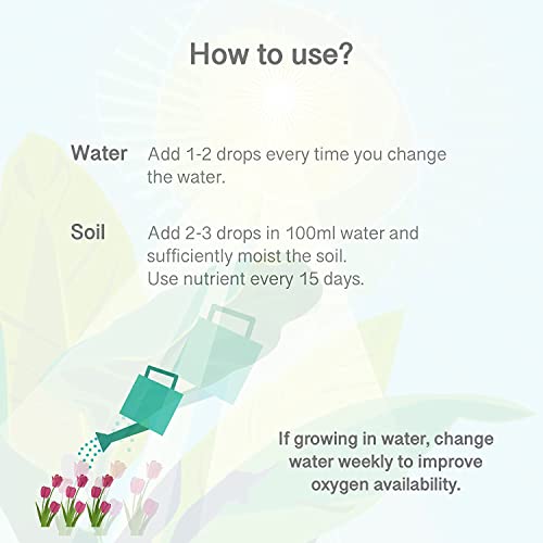 City Greens Lucky Bamboo & Money Plant Nutrient - Liquid Fertilizer for Aquatic or Water Plant (ZZ Plant, Syngonium, Chinese Money Plant) - 30ml bottle.