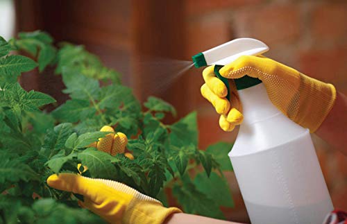 neem oil for ornamental plants