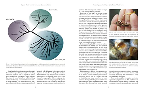 Organic Mushroom Farming and Mycoremediation