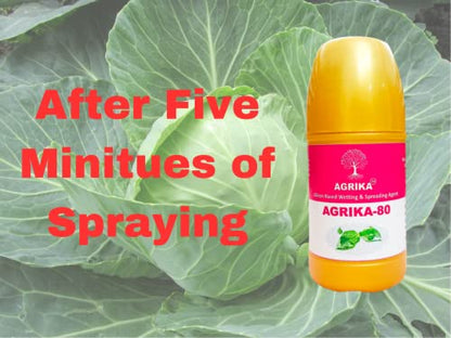improve vegetable freshness using agrika silicon based adjuvant