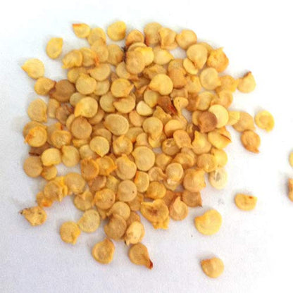advanta upl hybrid golden CHIILONG CHILLI seeds 1000 pcs