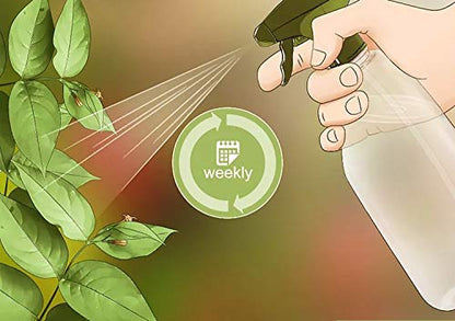 when should spray neem