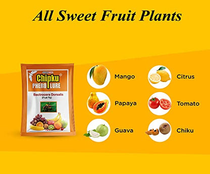 Chipku Bactocera Dorsalis फ्रूट फ्लाई आउटडोर इको फेरोमोन ट्रैप लूर के साथ आम, पपीता, चीकू, अमरूद, अनार, मीठे फल में उपयोगी - 20 का पैक