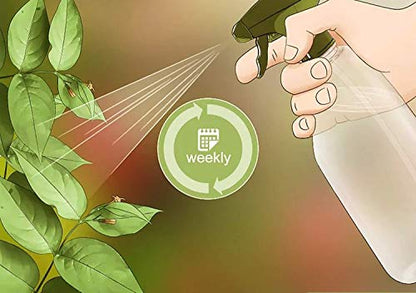 get organic products online