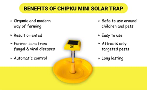 Chipku mini Solar chrageble Insect light trap ,Garden light trap,solar insect killer, UV light trap for insect , totally automatic with 6 months warrenty pack of 1
