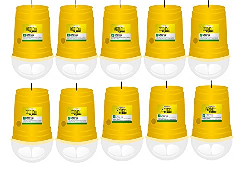 Chipku- Melon Fly (Bactocera cucurbitae) Pheromone Trap Eco Trap with Melon Fly Lure Pack of 10