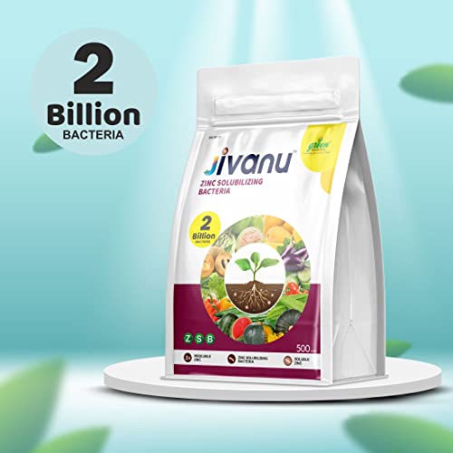 Jivanu Zinc Solubilizing Bacteria Bio Fertilizer - ZSB for All Plants and Home Garden Eco-Friendly (500 Gram)