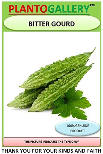 PLANTOGALLERY Vegetable Seeds | Bitter gourd/karela F1 Hybrid Organic Seeds for Pot & Home Garden | pack of 1 pkt 20 – 30 Seeds each, (LG-PLFB-49)