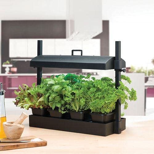 TrustBasket Indoor Jungle - Plant Growing System with LED Light| Portable Indoor Garden Starter Kit for Home Gardening