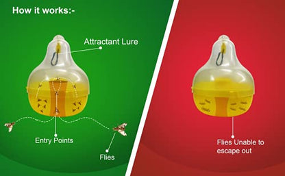 Chipku- Bactocera Dorsalis Fruit Fly Outdoor Maxplus/Macphill Pheromne Trap With Lure (2), Yellow