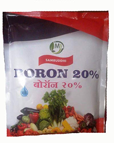 Trackroot Crop Sciences Private Limited Present Boron 20% Seeds